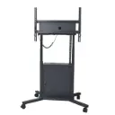 TECmount DS1000M Premium